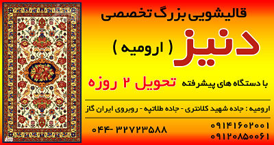 لوگوی قالیشویی دنیز ارومیه