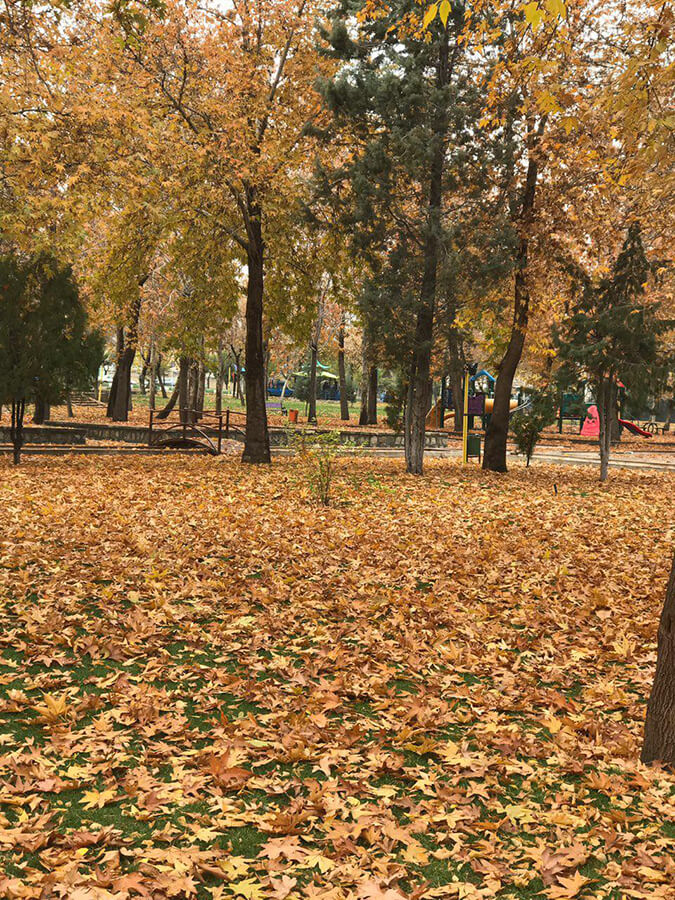 پارک ساعت ارومیه (1)
