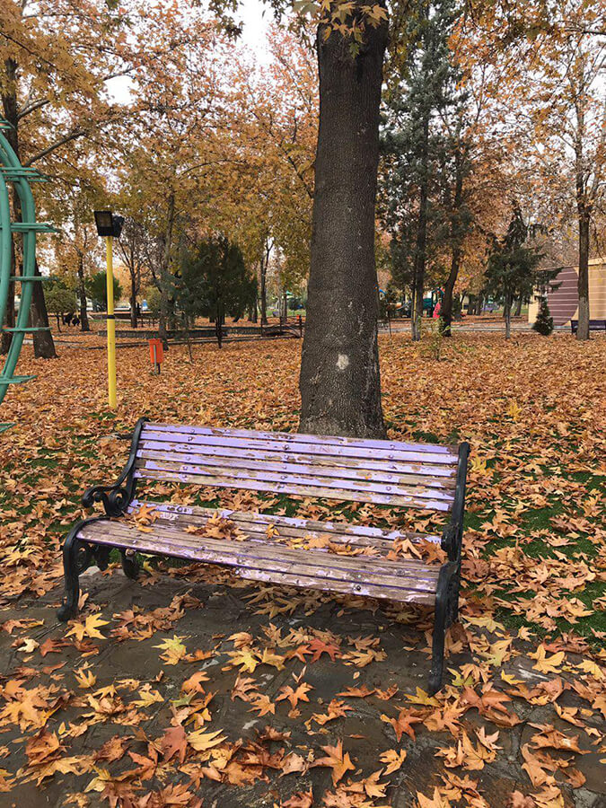 پارک ساعت ارومیه (2)