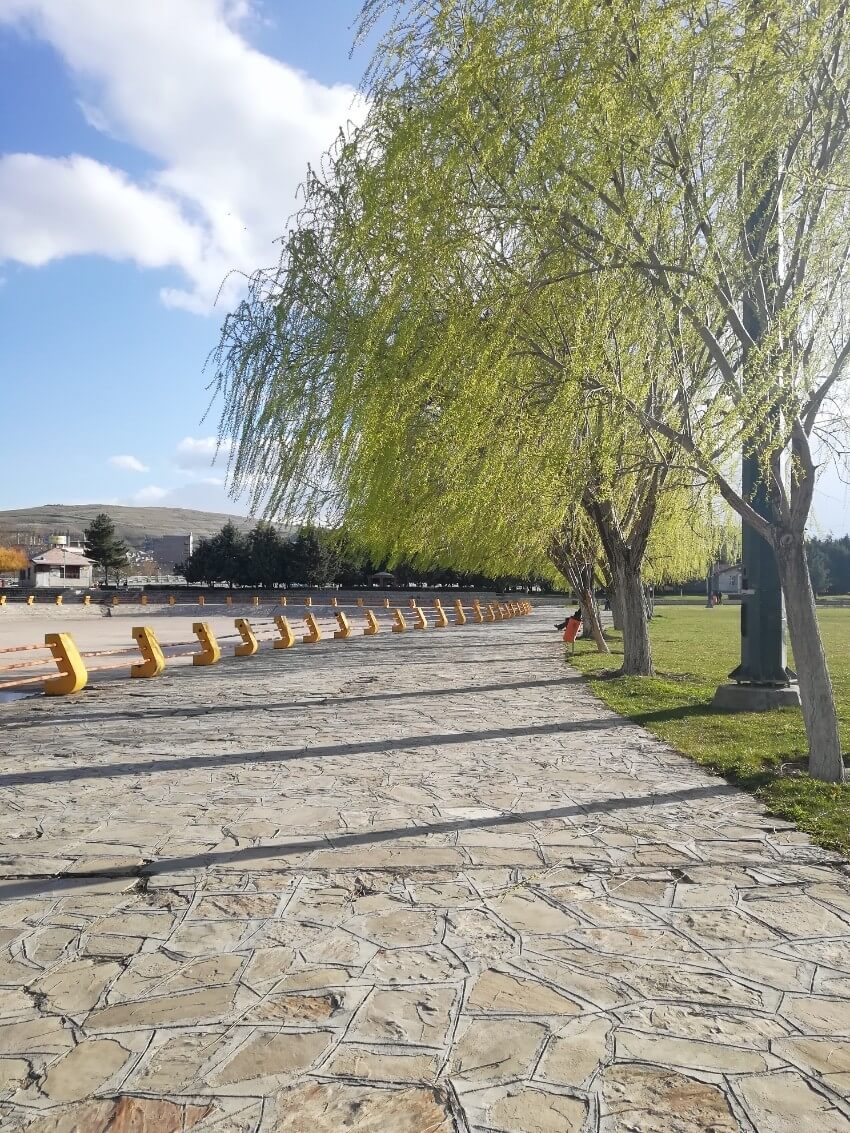 ائللر باغی (2)