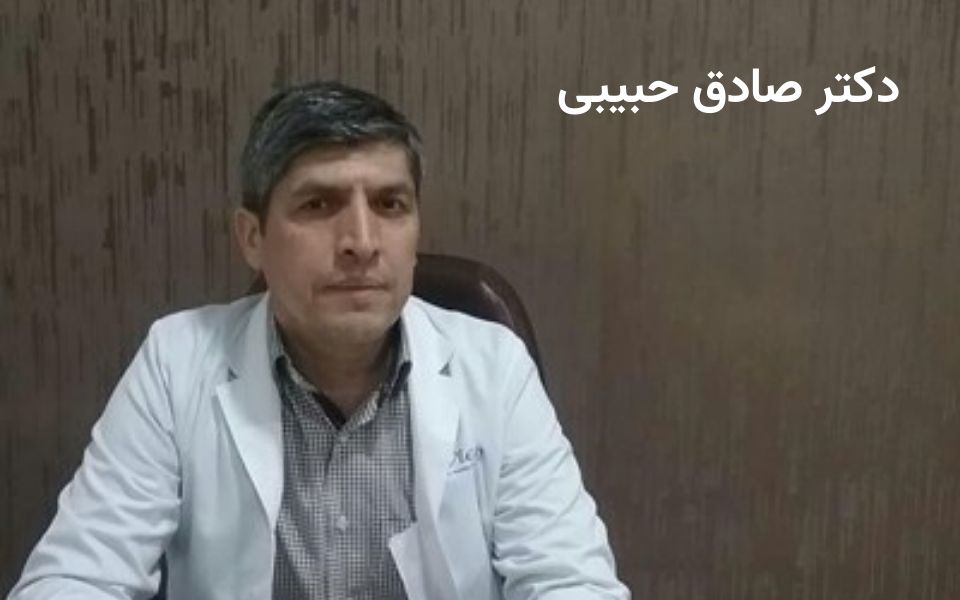 دکتر صادق حبیبی