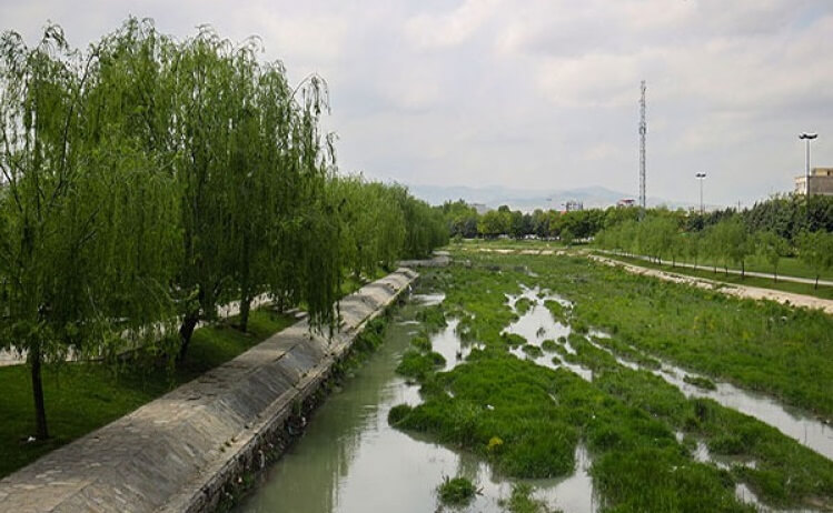 ائللر باغی (2)