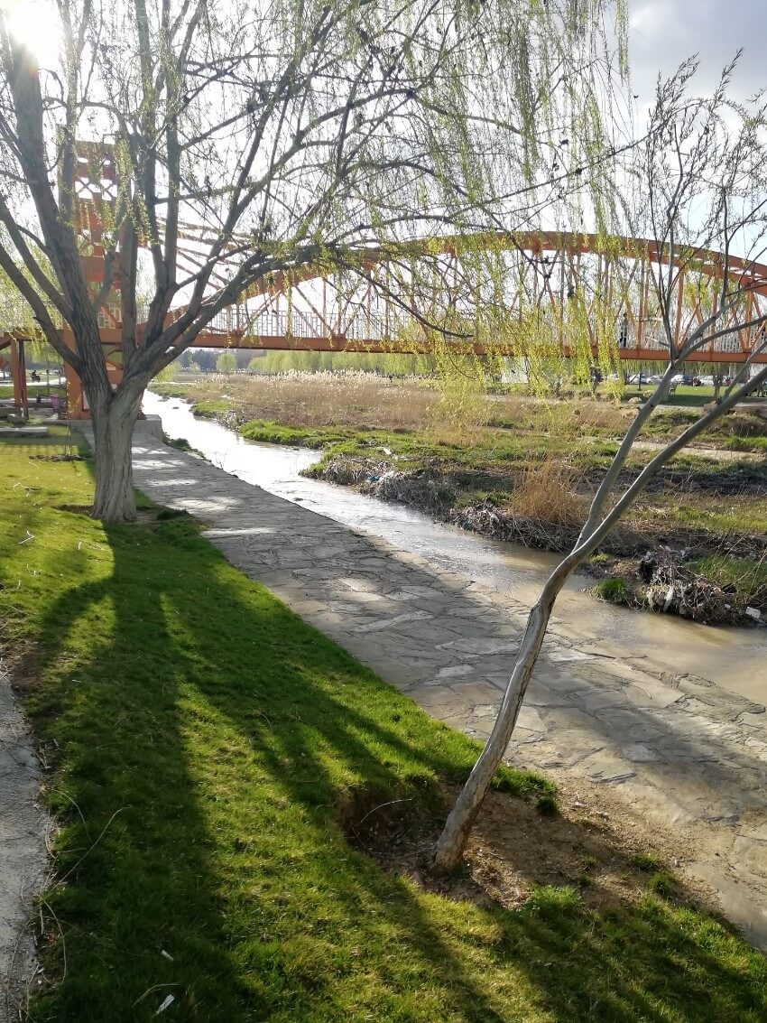 ائللر باغی (5)