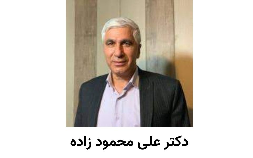 دکتر علی محمود زاده